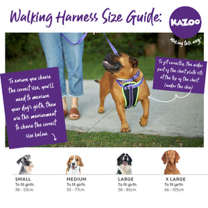 Kazoo Active Walking Harness Silver Pink Medium
