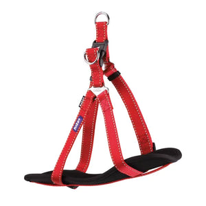 Kazoo Classic Walking Harness Red Large