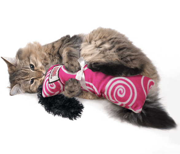 KONG Kickeroo Kanga Cat Toy