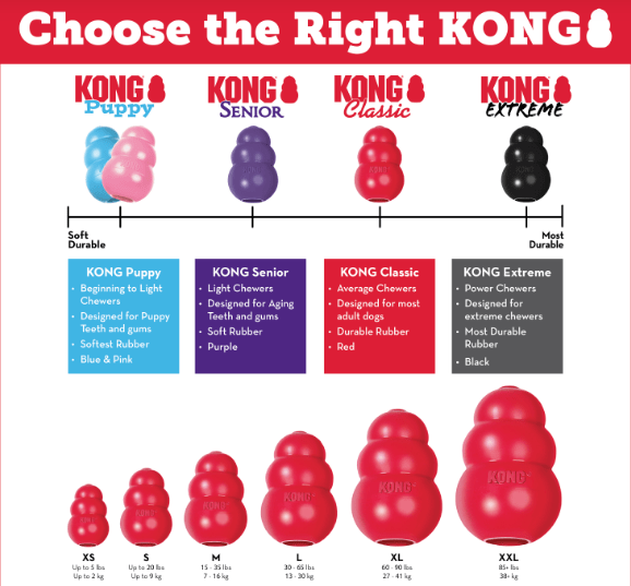 Kong Classic Large Robbos pet barn
