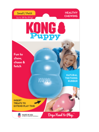 Kong dog teddy hotsell