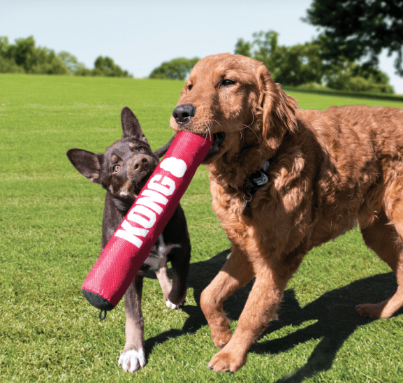 Kong Dog Toy Kong Signature Stick Medium