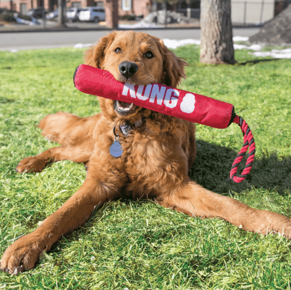 Kong Dog Toy Kong Signature Stick w/Rope Medium