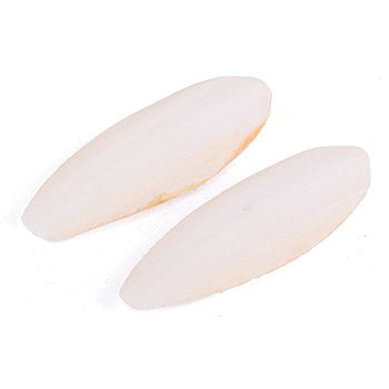 Kazoo Cuttlebone Natural Medium 2 Pack