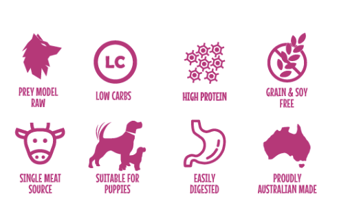 Petbarn raw dog sales food