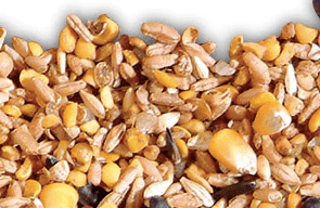 Red Hen Chicken Food Red Hen Free Range Layer 20Kg