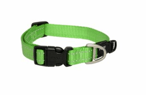 Rogz Dog Collars, Leads & Harnesses Green Rogz Classic Collar Extra Large 43-70cm