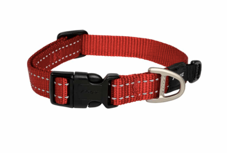 Dog clearance collar petbarn