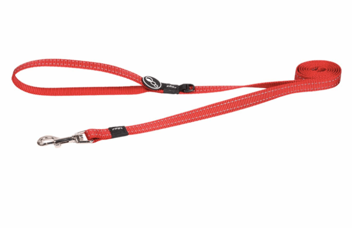 Petbarn dog leads sale