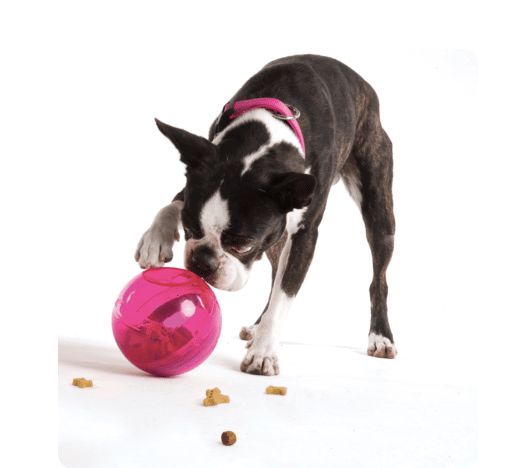 Rogz Dog Toy Default Rogz Tumbler Treat Dispenser Pink