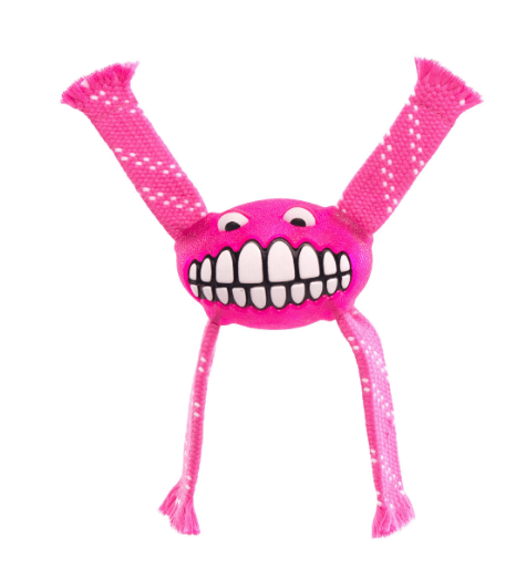 Rogz Dog Toy Flossy Grinz Pink Small