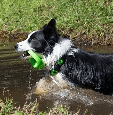 Rogz Dog Toy Pop-Upz Fetch Toy Lime M/L