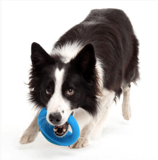 Rogz Dog Toy Pop-Upz Fetch Toy Orange M/L