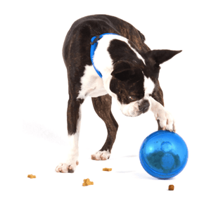 Rogz Dog Toy Rogz Tumbler Treat Dispenser Ball Blue