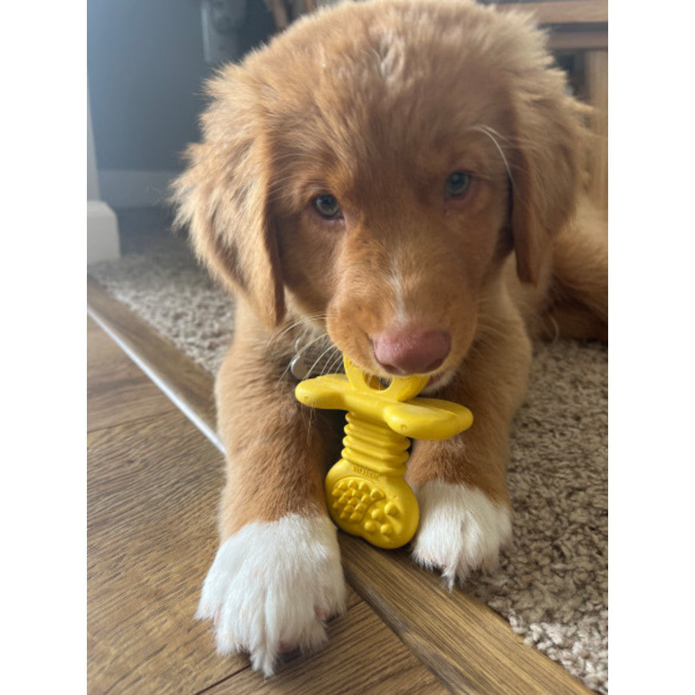 Nylabone Puppy Chew Natural Rubber Textured Teether Small
