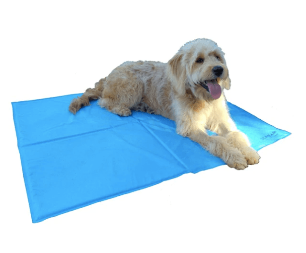 Scream Dog Beds Scream Cool Pad Blue Large