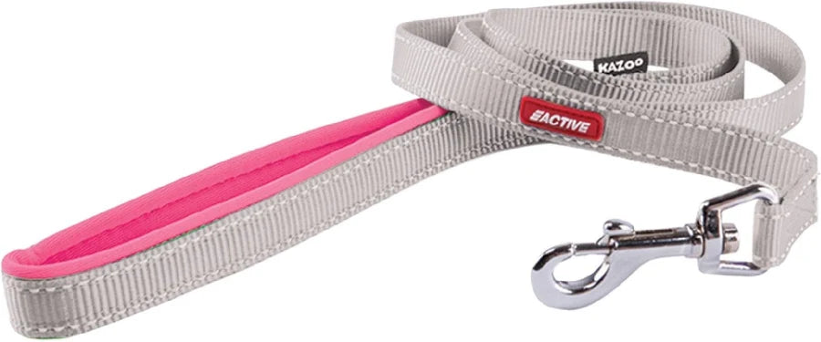 Kazoo Active Nylon Lead Slate Silver and Pink