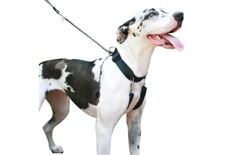 Sporn X-Large Black Big Dog Halter Harness for Necks 61cm to 83cm